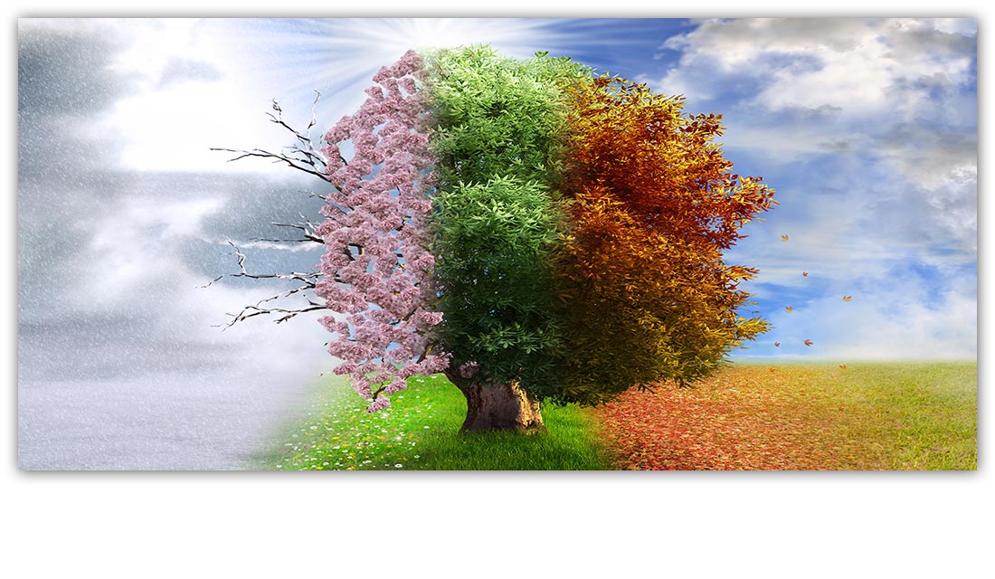 Slide background
