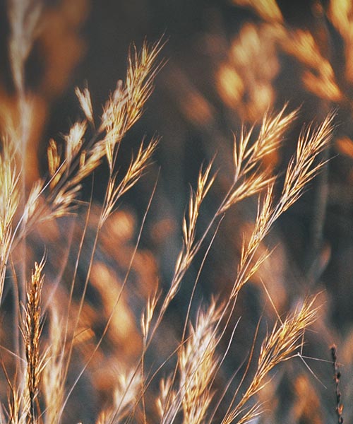 Slide background